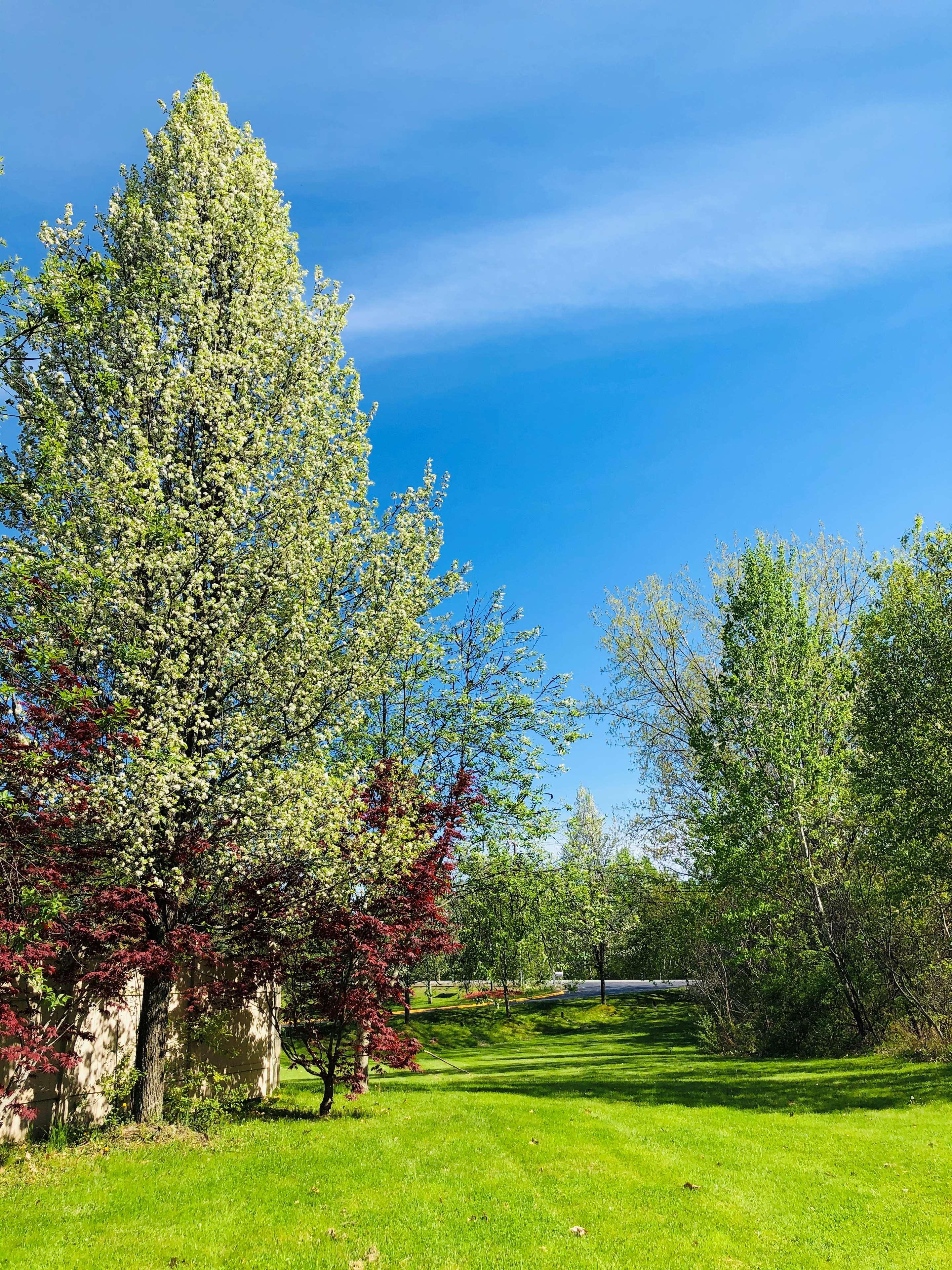 Best Western West Lebanon-Hanover Extérieur photo